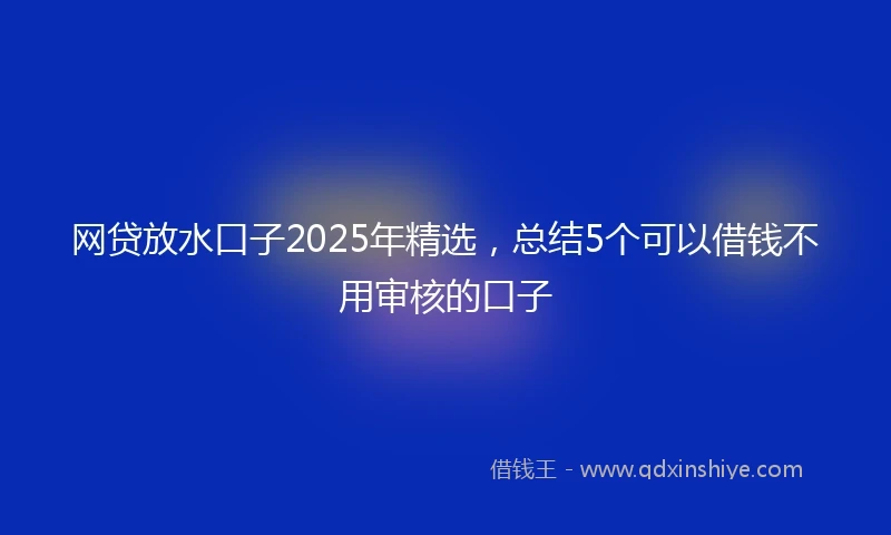 网贷放水口子2025年精选，总结5个可以借钱不用审核的口子