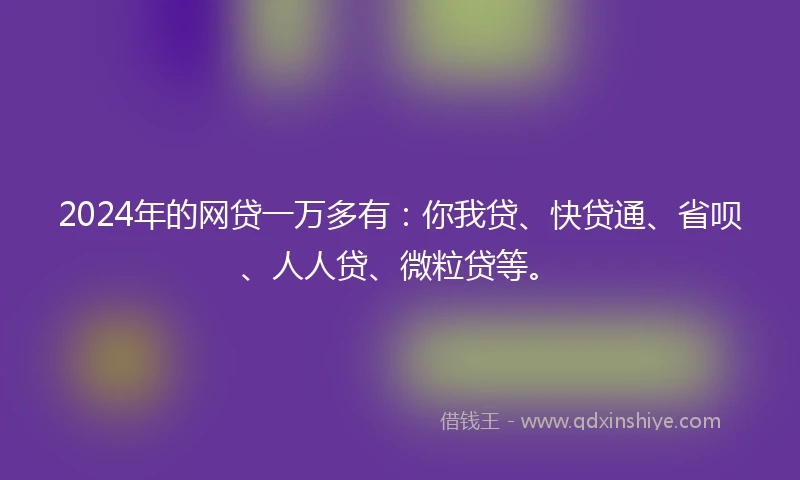 2024年的网贷一万多有：你我贷、快贷通、省呗、人人贷、微粒贷等。