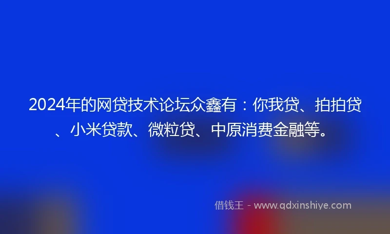 2024年的网贷技术论坛众鑫有：你我贷、拍拍贷、小米贷款、微粒贷、中原消费金融等。