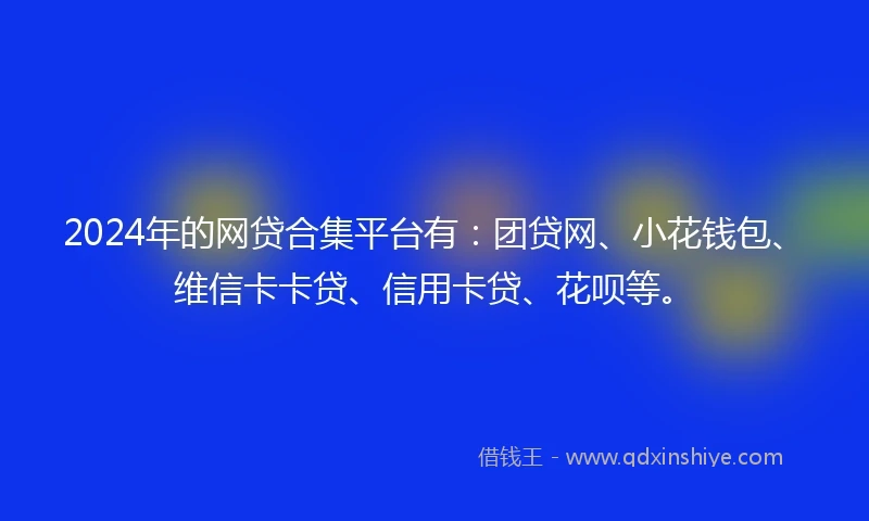 2024年的网贷合集平台有：团贷网、小花钱包、维信卡卡贷、信用卡贷、花呗等。