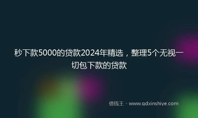 秒下款5000的贷款2024年精选，整理5个无视一切包下款的贷款