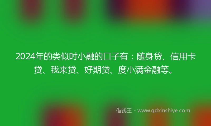 2024年的类似时小融的口子有：随身贷、信用卡贷、我来贷、好期贷、度小满金融等。