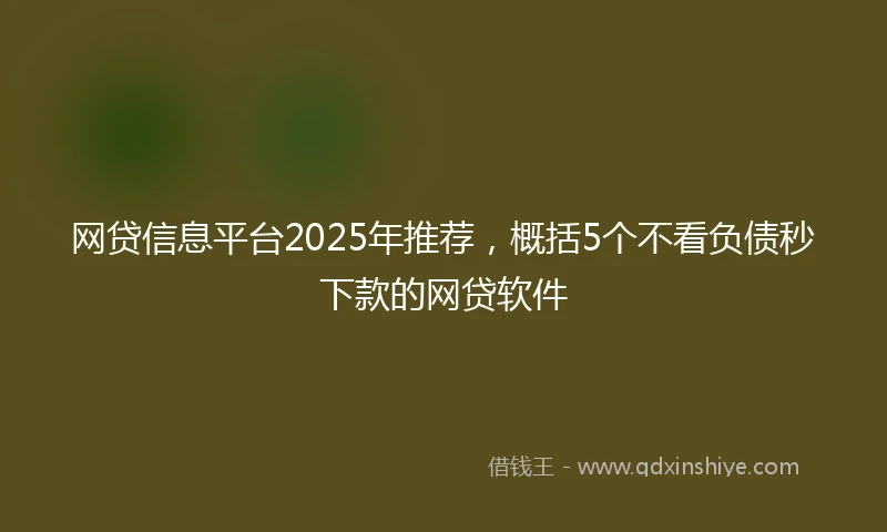 网贷信息平台2025年推荐,概括5个不看负债秒下款的网贷软件