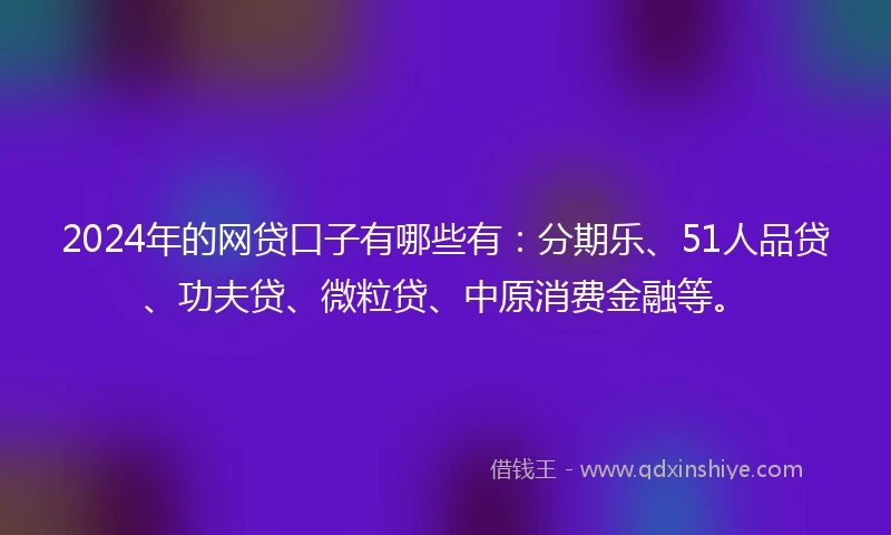 2024年的网贷口子有哪些有：分期乐、51人品贷、功夫贷、微粒贷、中原消费金融等。