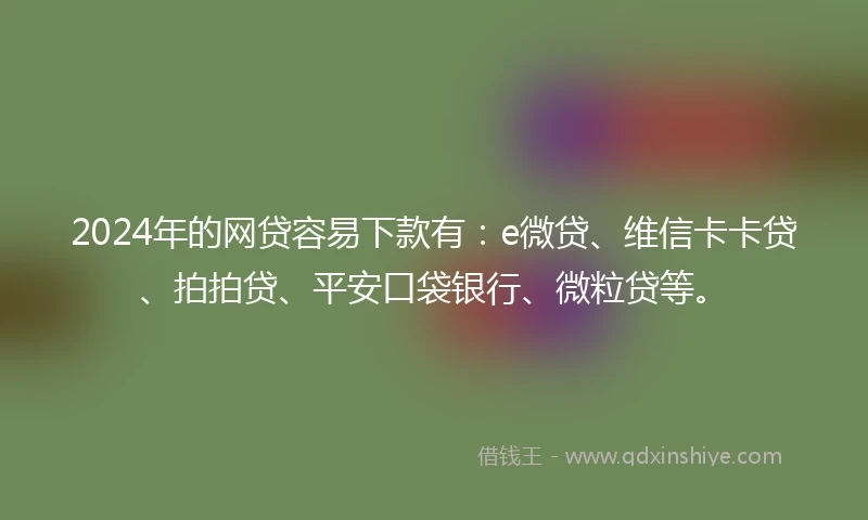 2024年的网贷容易下款有：e微贷、维信卡卡贷、拍拍贷、平安口袋银行、微粒贷等。