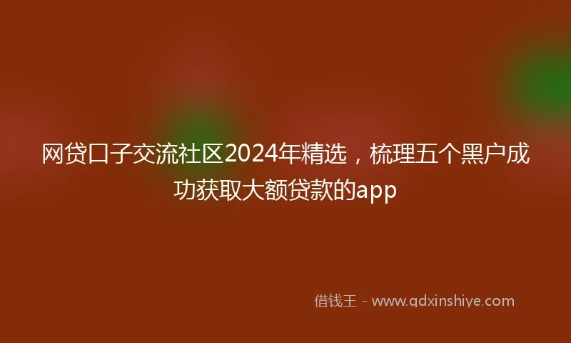 网贷口子交流社区2024年精选，梳理五个黑户成功获取大额贷款的app