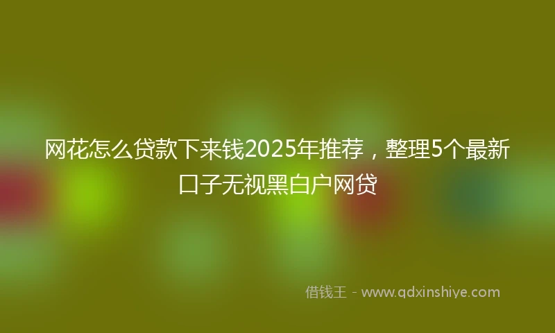 网花怎么贷款下来钱2025年推荐，整理5个最新口子无视黑白户网贷