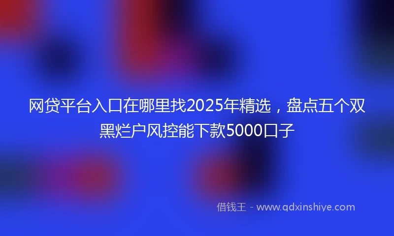 网贷平台入口在哪里找2025年精选，盘点五个双黑烂户风控能下款5000口子