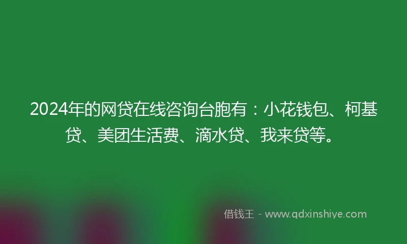 2024年的网贷在线咨询台胞有：小花钱包、柯基贷、美团生活费、滴水贷、我来贷等。