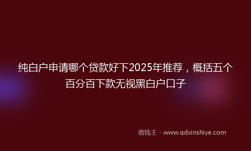 纯白户申请哪个贷款好下2025年推荐，概括五个百分百下款无视黑白户口子