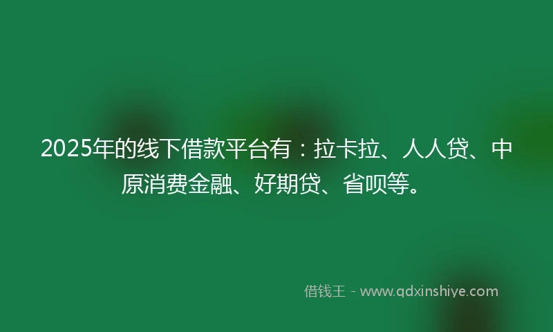 2025年的线下借款平台有：拉卡拉、人人贷、中原消费金融、好期贷、省呗等。