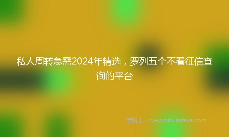 私人周转急需2024年精选，罗列五个不看征信查询的平台