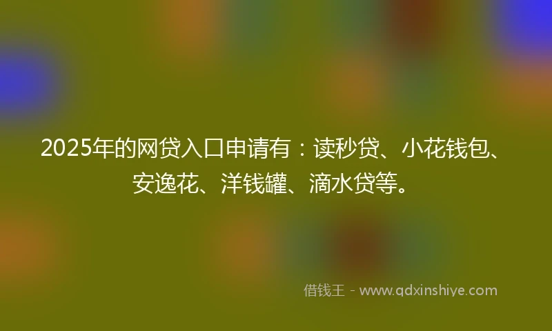 2025年的网贷入口申请有：读秒贷、小花钱包、安逸花、洋钱罐、滴水贷等。