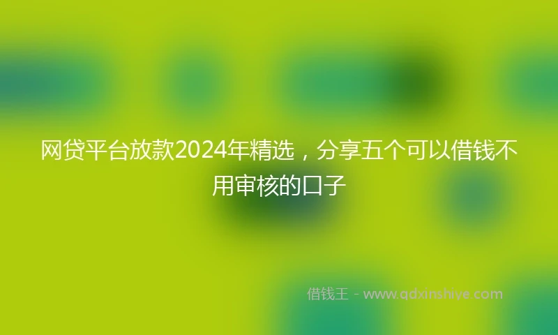 网贷平台放款2024年精选，分享五个可以借钱不用审核的口子