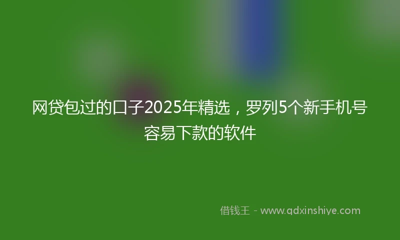 网贷包过的口子2025年精选，罗列5个新手机号容易下款的软件