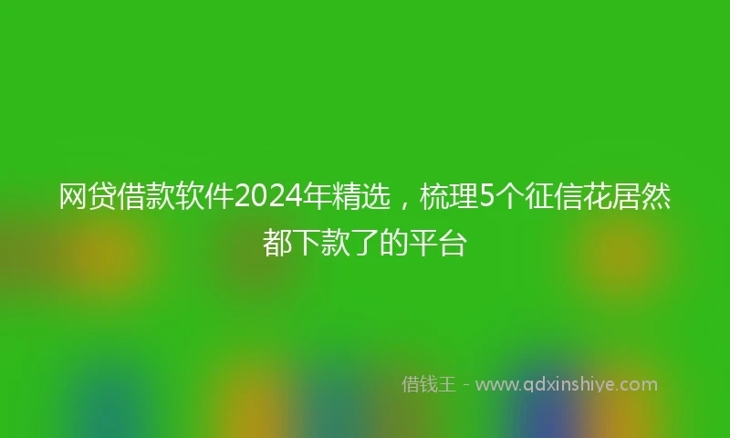 网贷借款软件2024年精选，梳理5个征信花居然都下款了的平台