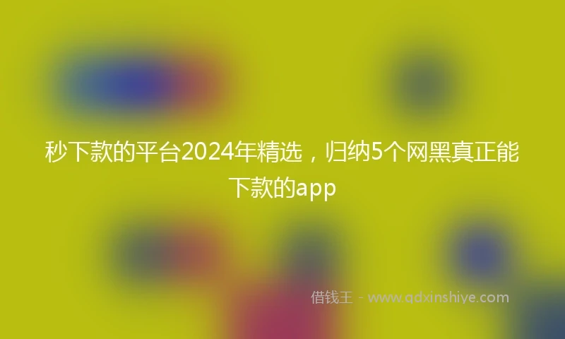 秒下款的平台2024年精选，归纳5个网黑真正能下款的app