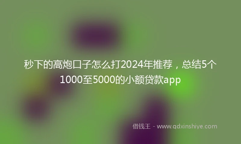 秒下的高炮口子怎么打2024年推荐，总结5个1000至5000的小额贷款app