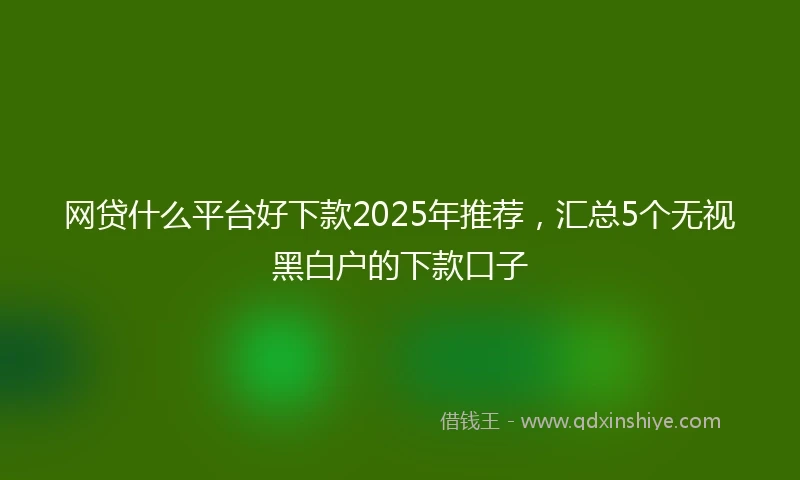 网贷什么平台好下款2025年推荐，汇总5个无视黑白户的下款口子