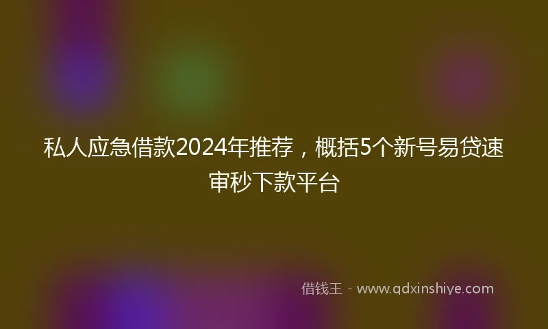 私人应急借款2024年推荐，概括5个新号易贷速审秒下款平台