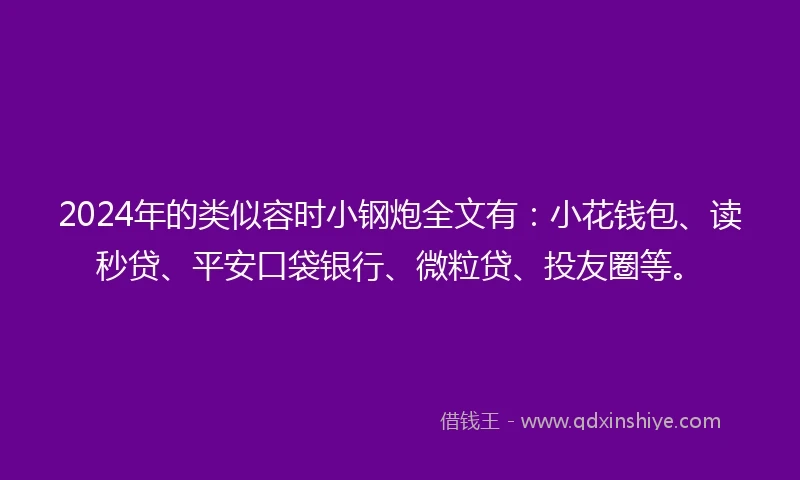 2024年的类似容时小钢炮全文有：小花钱包、读秒贷、平安口袋银行、微粒贷、投友圈等。