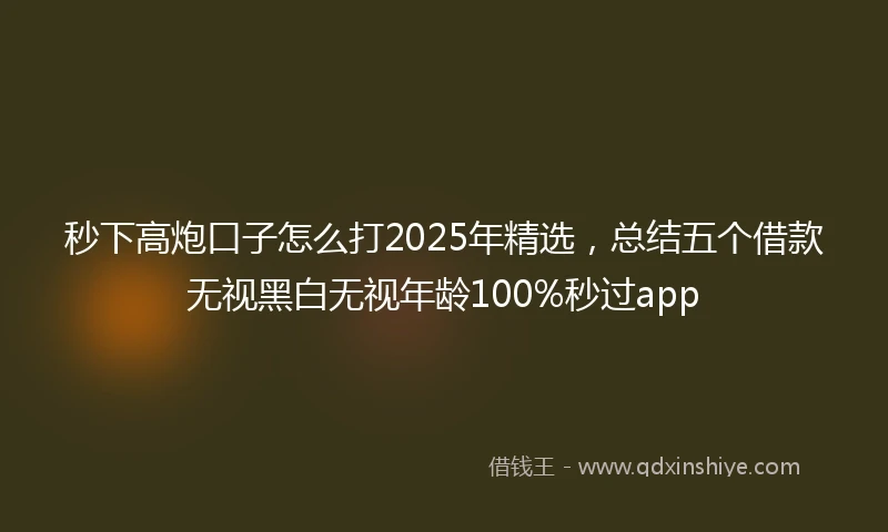 秒下高炮口子怎么打2025年精选，总结五个借款无视黑白无视年龄100%秒过app