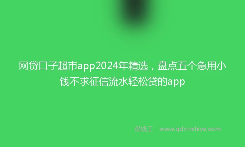 网贷口子超市app2024年精选，盘点五个急用小钱不求征信流水轻松贷的app
