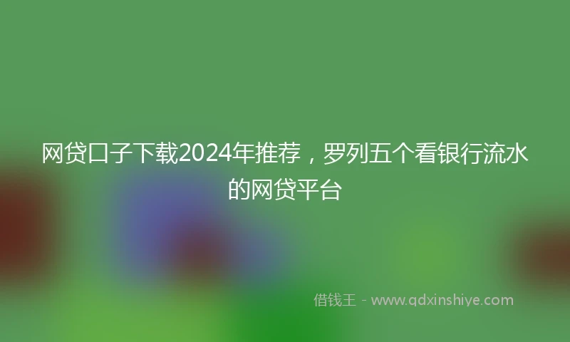 网贷口子下载2024年推荐，罗列五个看银行流水的网贷平台