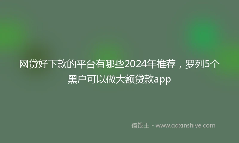 网贷好下款的平台有哪些2024年推荐，罗列5个黑户可以做大额贷款app