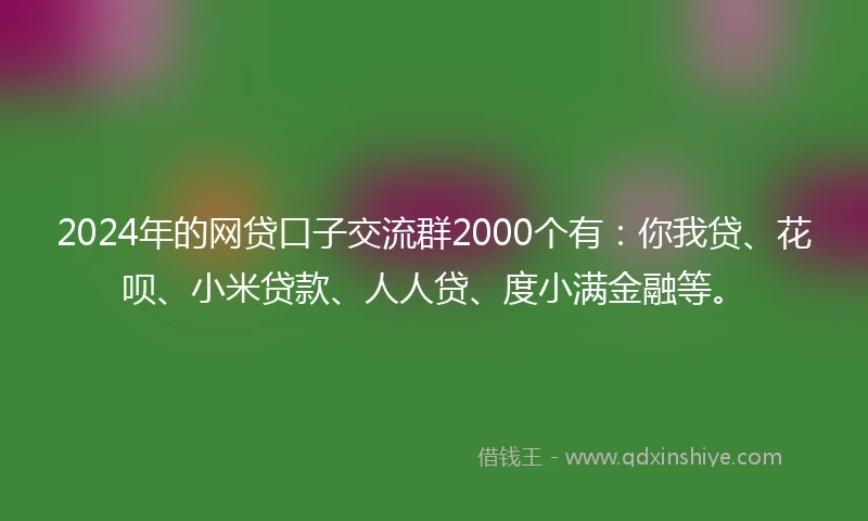 2024年的网贷口子交流群2000个有：你我贷、花呗、小米贷款、人人贷、度小满金融等。