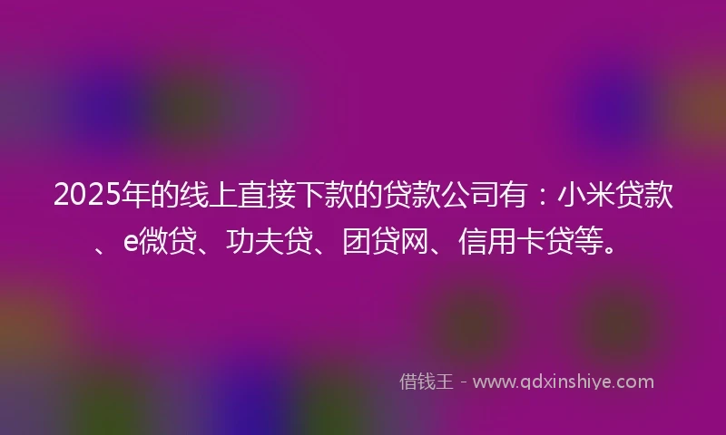 2025年的线上直接下款的贷款公司有：小米贷款、e微贷、功夫贷、团贷网、信用卡贷等。