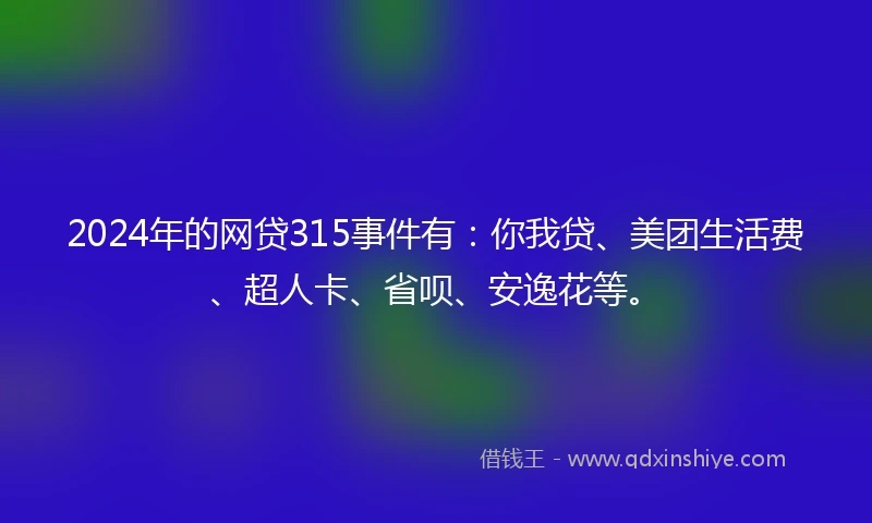 2024年的网贷315事件有：你我贷、美团生活费、超人卡、省呗、安逸花等。