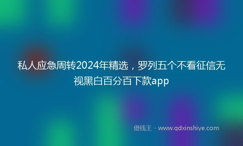 私人应急周转2024年精选，罗列五个不看征信无视黑白百分百下款app