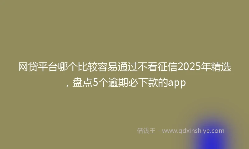网贷平台哪个比较容易通过不看征信2025年精选，盘点5个逾期必下款的app
