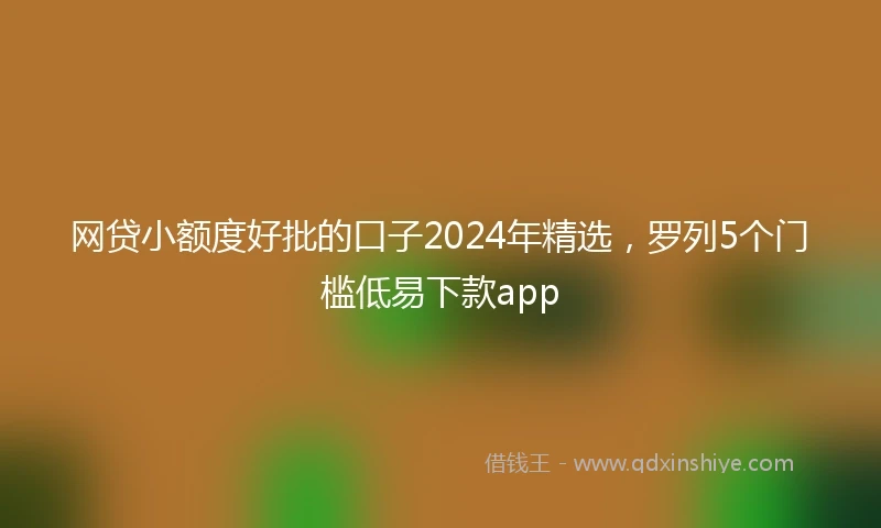 网贷小额度好批的口子2024年精选，罗列5个门槛低易下款app