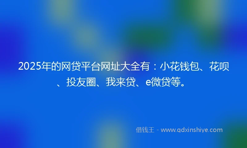 2025年的网贷平台网址大全有：小花钱包、花呗、投友圈、我来贷、e微贷等。