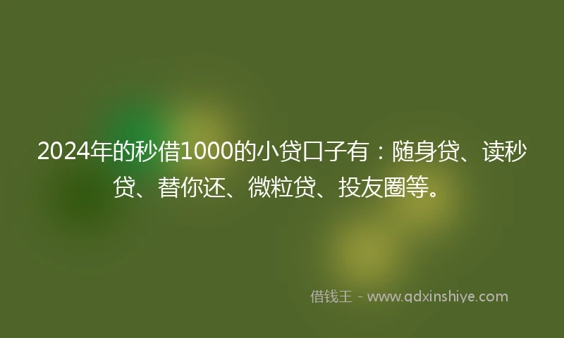 2024年的秒借1000的小贷口子有：随身贷、读秒贷、替你还、微粒贷、投友圈等。