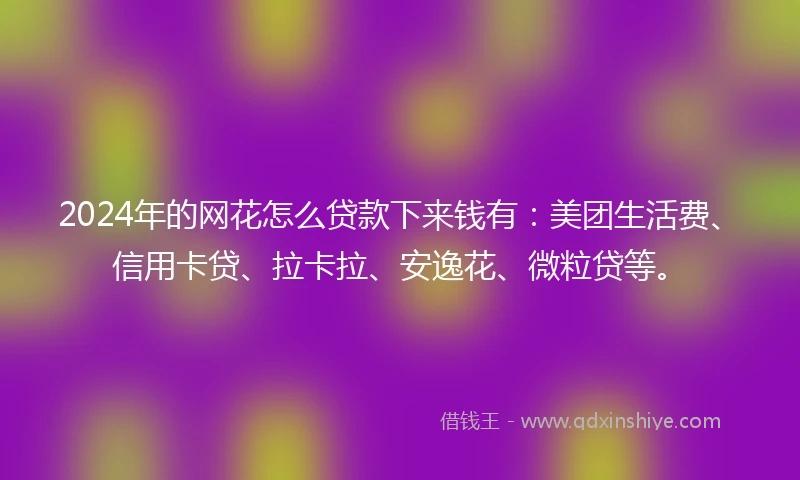 2024年的网花怎么贷款下来钱有：美团生活费、信用卡贷、拉卡拉、安逸花、微粒贷等。