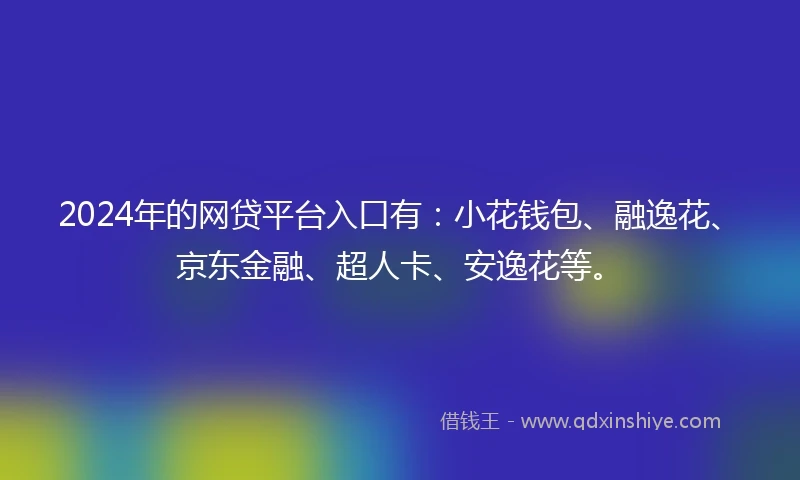 2024年的网贷平台入口有：小花钱包、融逸花、京东金融、超人卡、安逸花等。