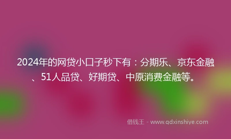 2024年的网贷小口子秒下有：分期乐、京东金融、51人品贷、好期贷、中原消费金融等。