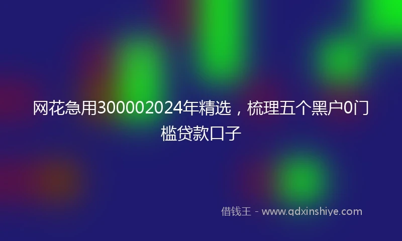 网花急用300002024年精选，梳理五个黑户0门槛贷款口子