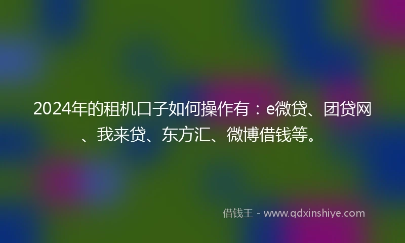 2024年的租机口子如何操作有：e微贷、团贷网、我来贷、东方汇、微博借钱等。