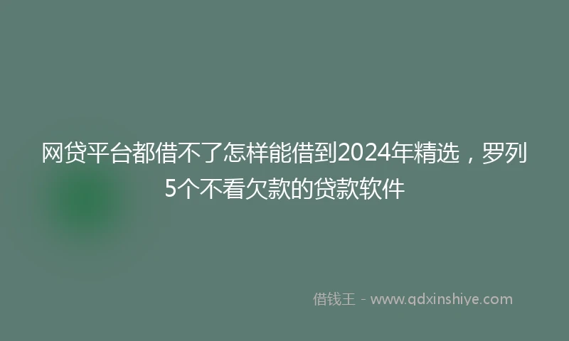 网贷平台都借不了怎样能借到2024年精选，罗列5个不看欠款的贷款软件