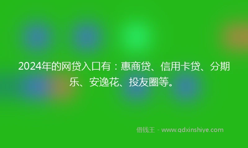 2024年的网贷入口有：惠商贷、信用卡贷、分期乐、安逸花、投友圈等。