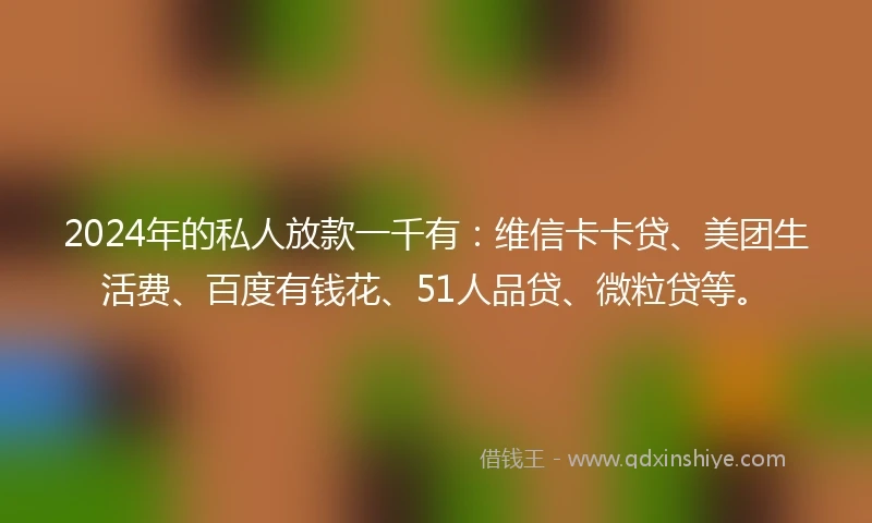 2024年的私人放款一千有：维信卡卡贷、美团生活费、百度有钱花、51人品贷、微粒贷等。