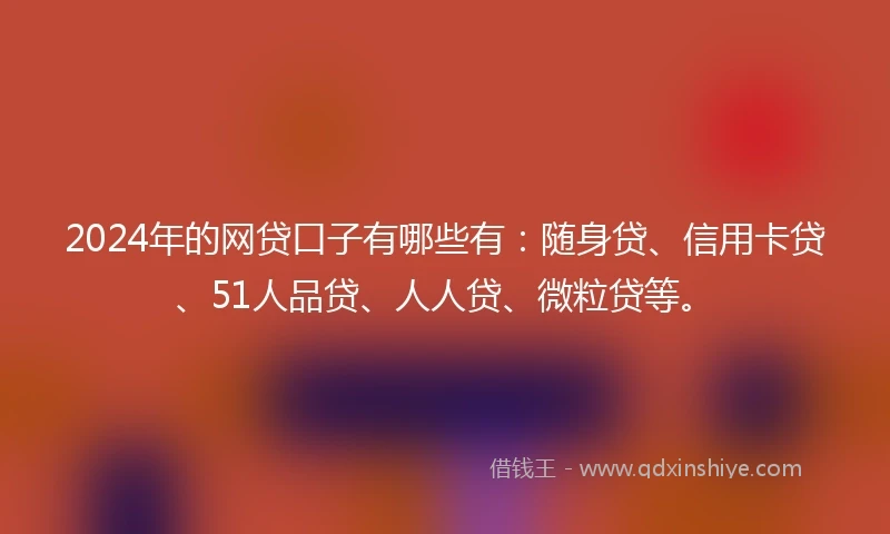 2024年的网贷口子有哪些有：随身贷、信用卡贷、51人品贷、人人贷、微粒贷等。