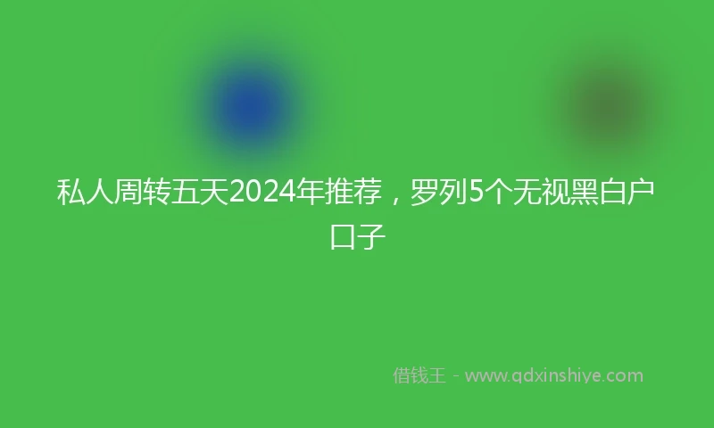 私人周转五天2024年推荐，罗列5个无视黑白户口子