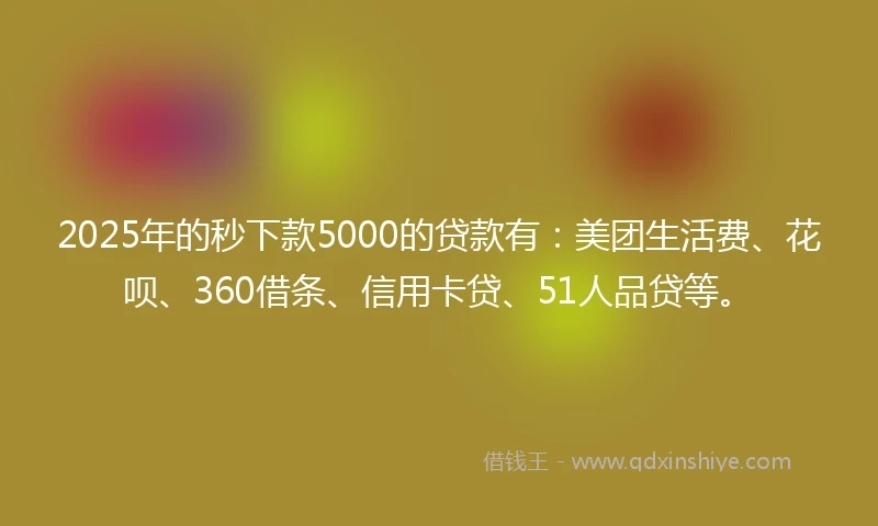 2025年的秒下款5000的贷款有：美团生活费、花呗、360借条、信用卡贷、51人品贷等。