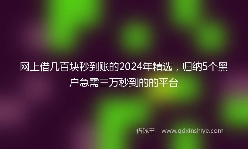网上借几百块秒到账的2024年精选，归纳5个黑户急需三万秒到的的平台