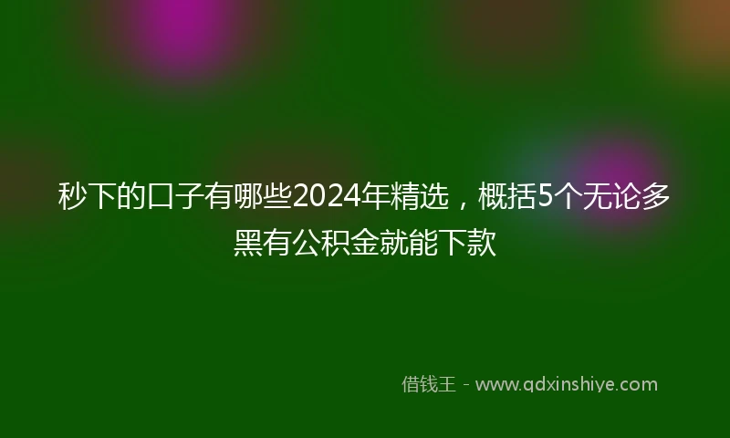 秒下的口子有哪些2024年精选，概括5个无论多黑有公积金就能下款